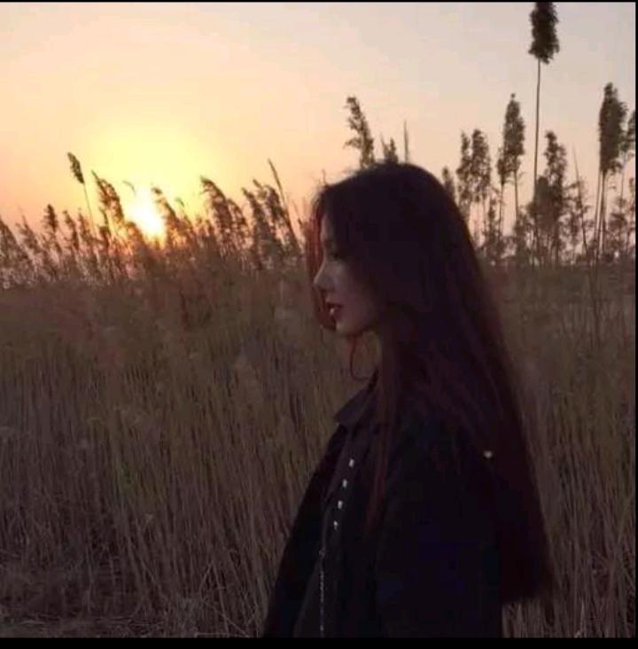 赵女士