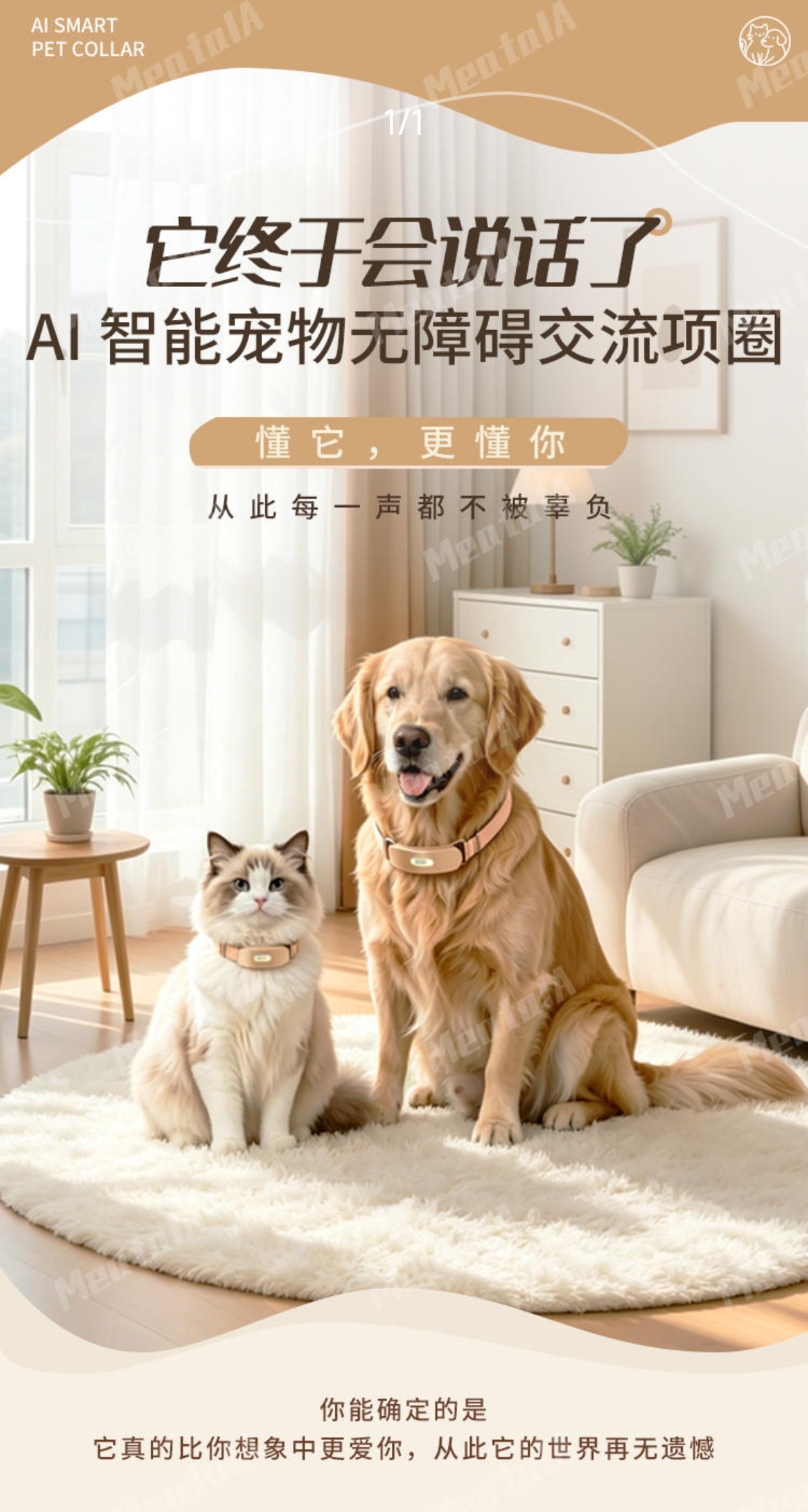 朱先生地推项目智能翻译项圈预售火爆