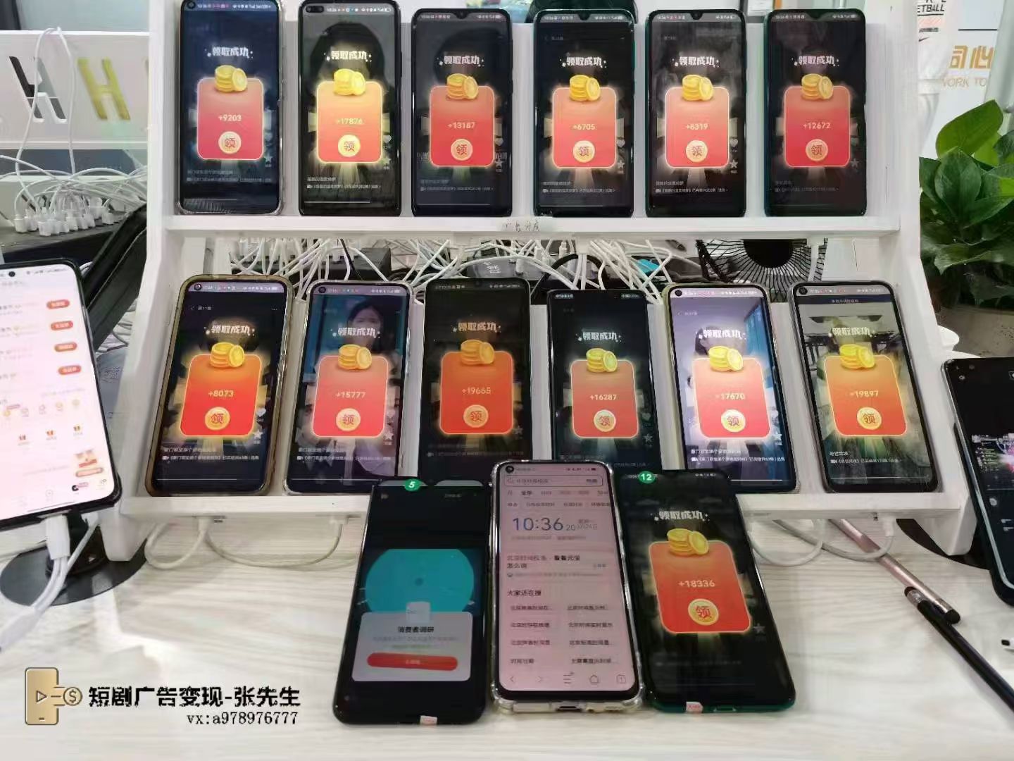 张先生找合伙人