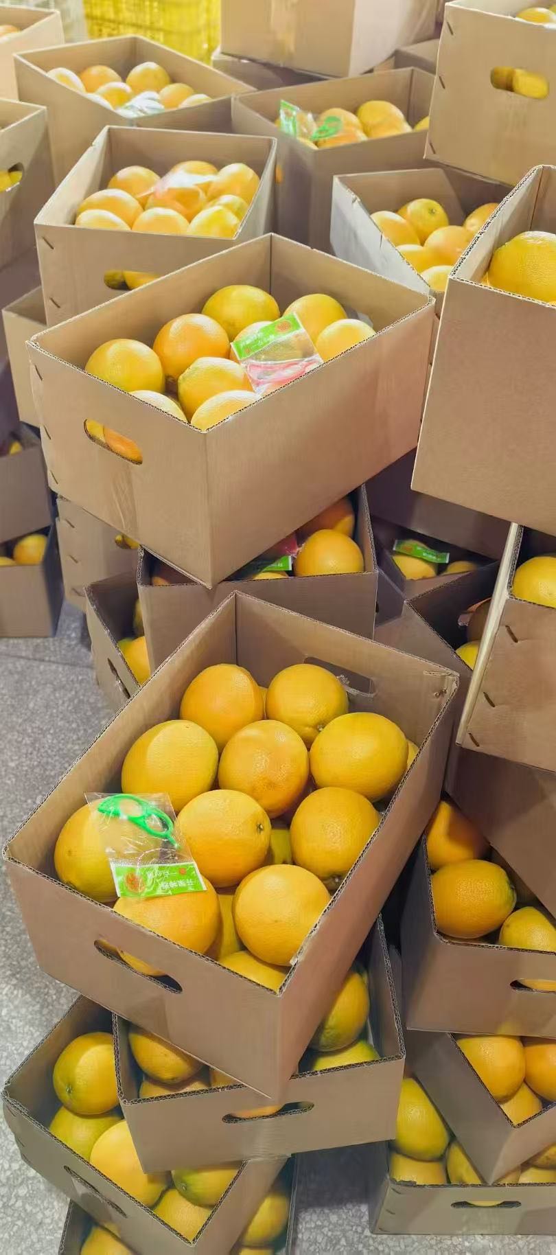 孔宪林品牌货源赣南脐橙，自包果园，精品，一件代发