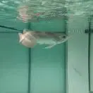 陈杰文