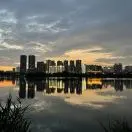 刘海龙