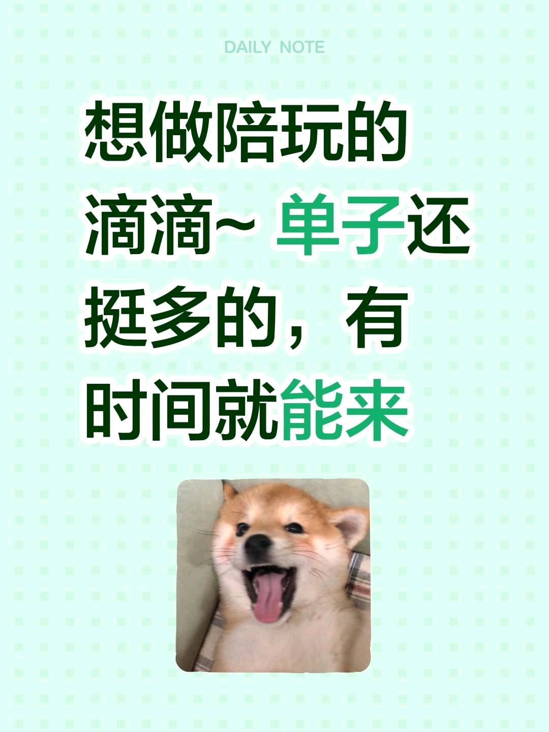 黄先生其他供需陪玩项目应聘滴滴