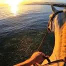 u客直谈实名认证符先生