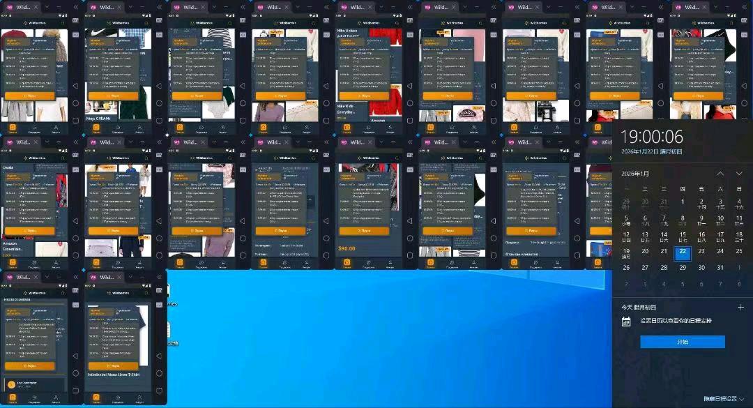 刘先生找合伙人Wildberries，野莓，电商推广合作项目