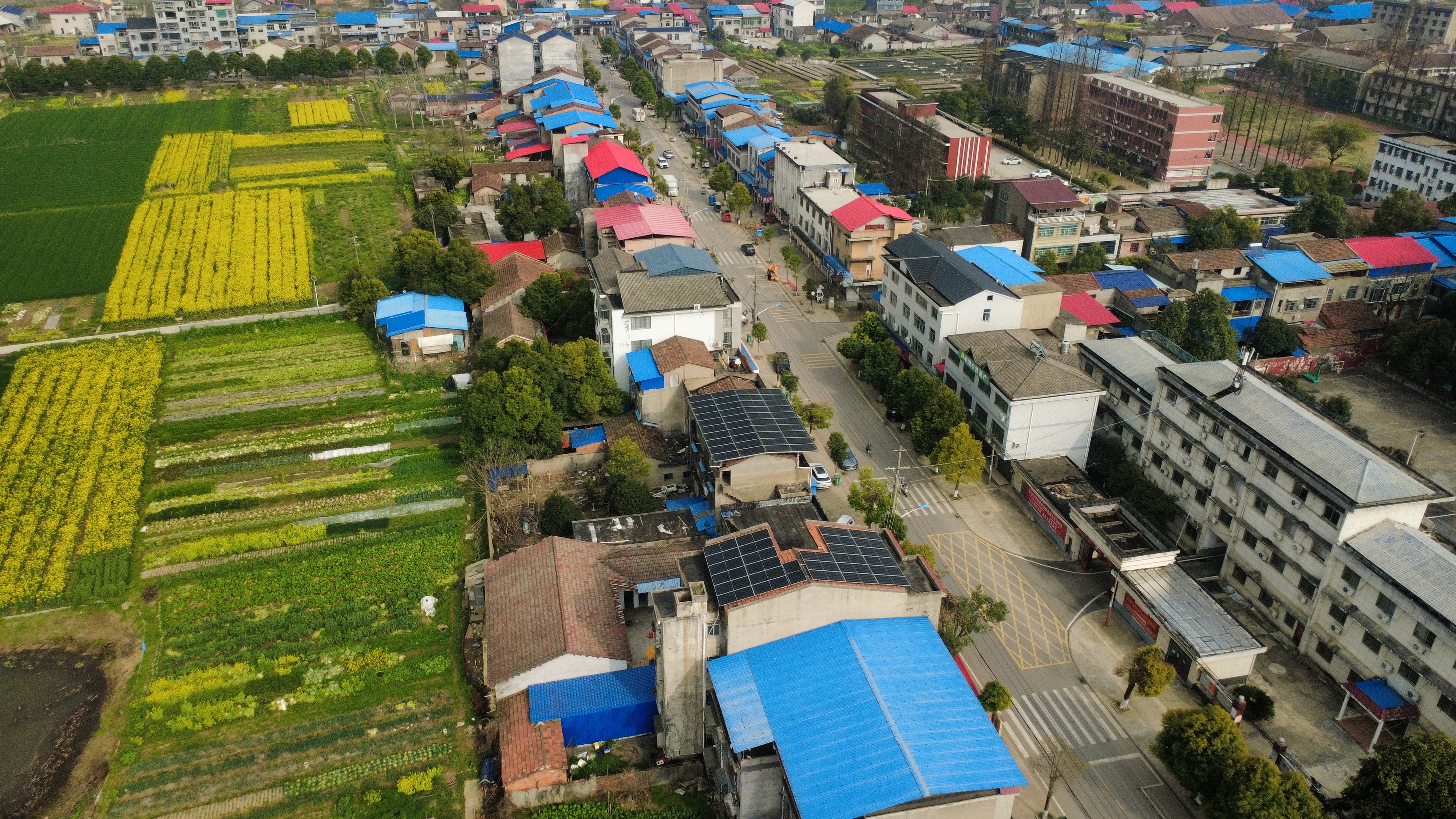 戴程其他供需岳阳华容县招业务团队和个人