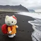 蔡先生头像