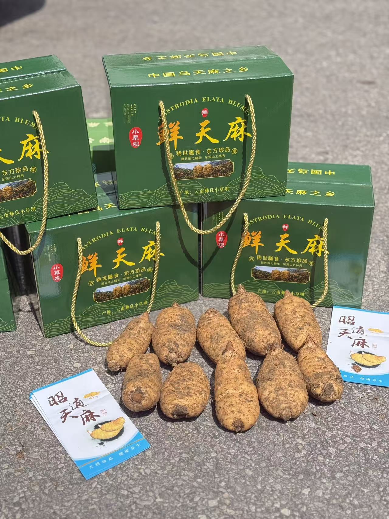 董先生云南昭通小草坝天麻源头直供