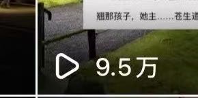 张孟其他供需