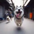 李阳