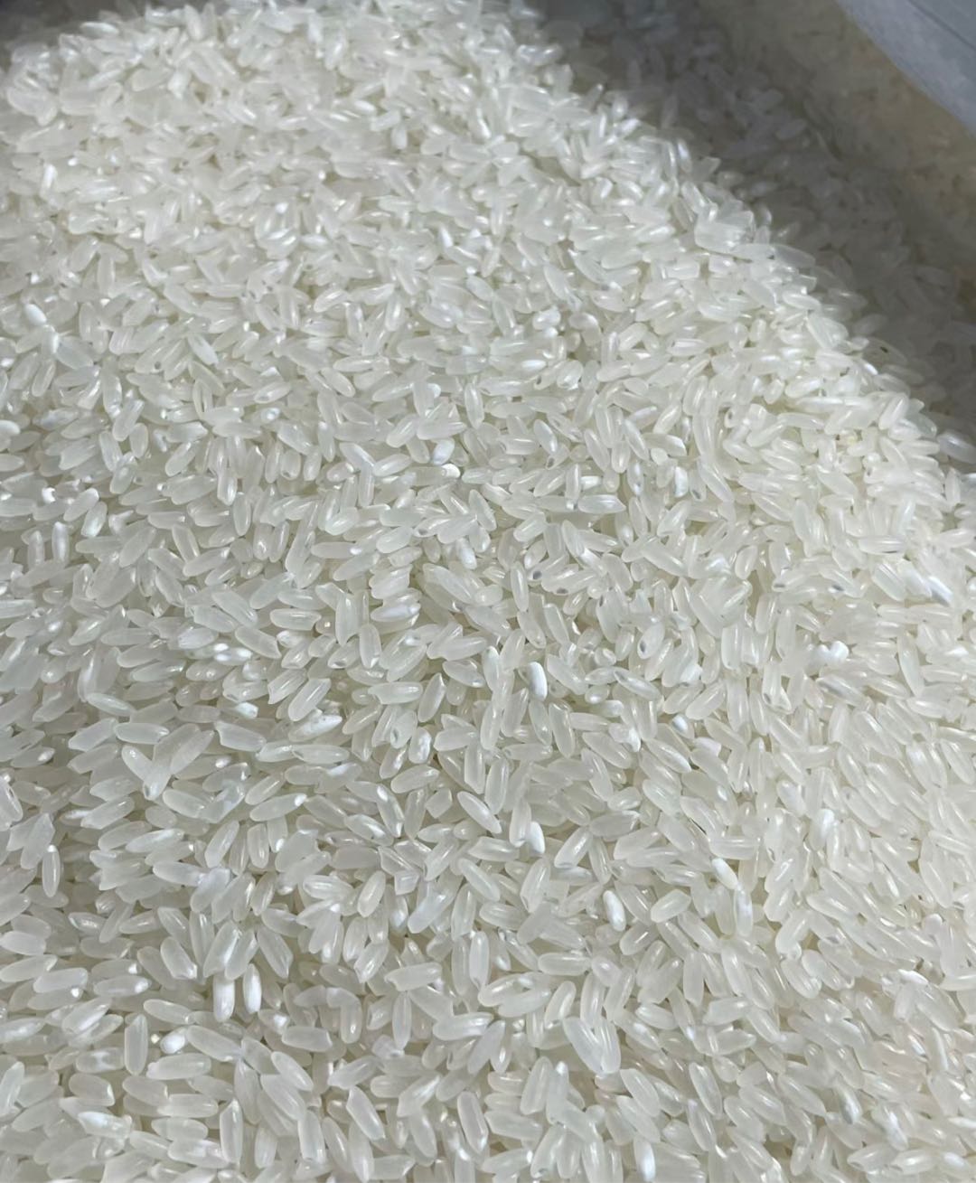 丰先生品牌货源