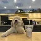杨先生