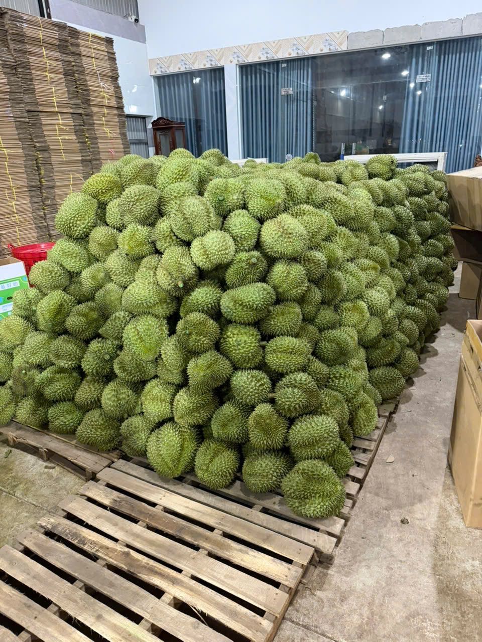 刘先生榴莲批发，冷链直发，全国各地可供应，价格实惠！