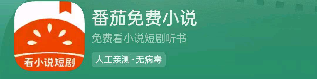 董志佳找合伙人番茄短故事著作人合作项目，月入*