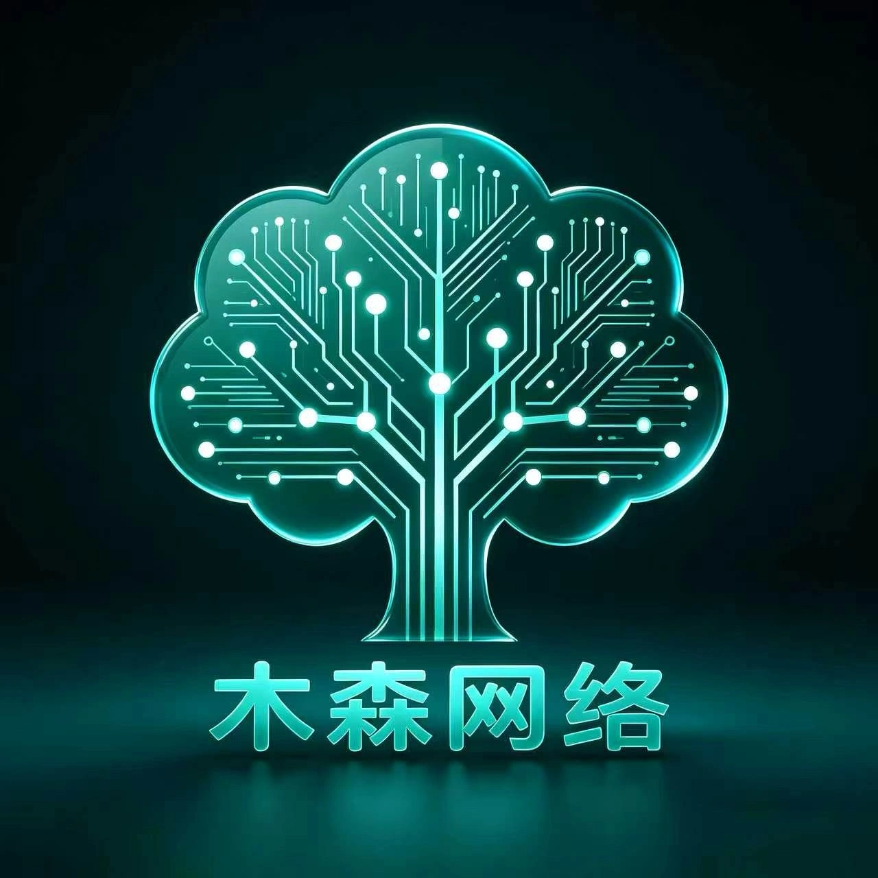 赵先生