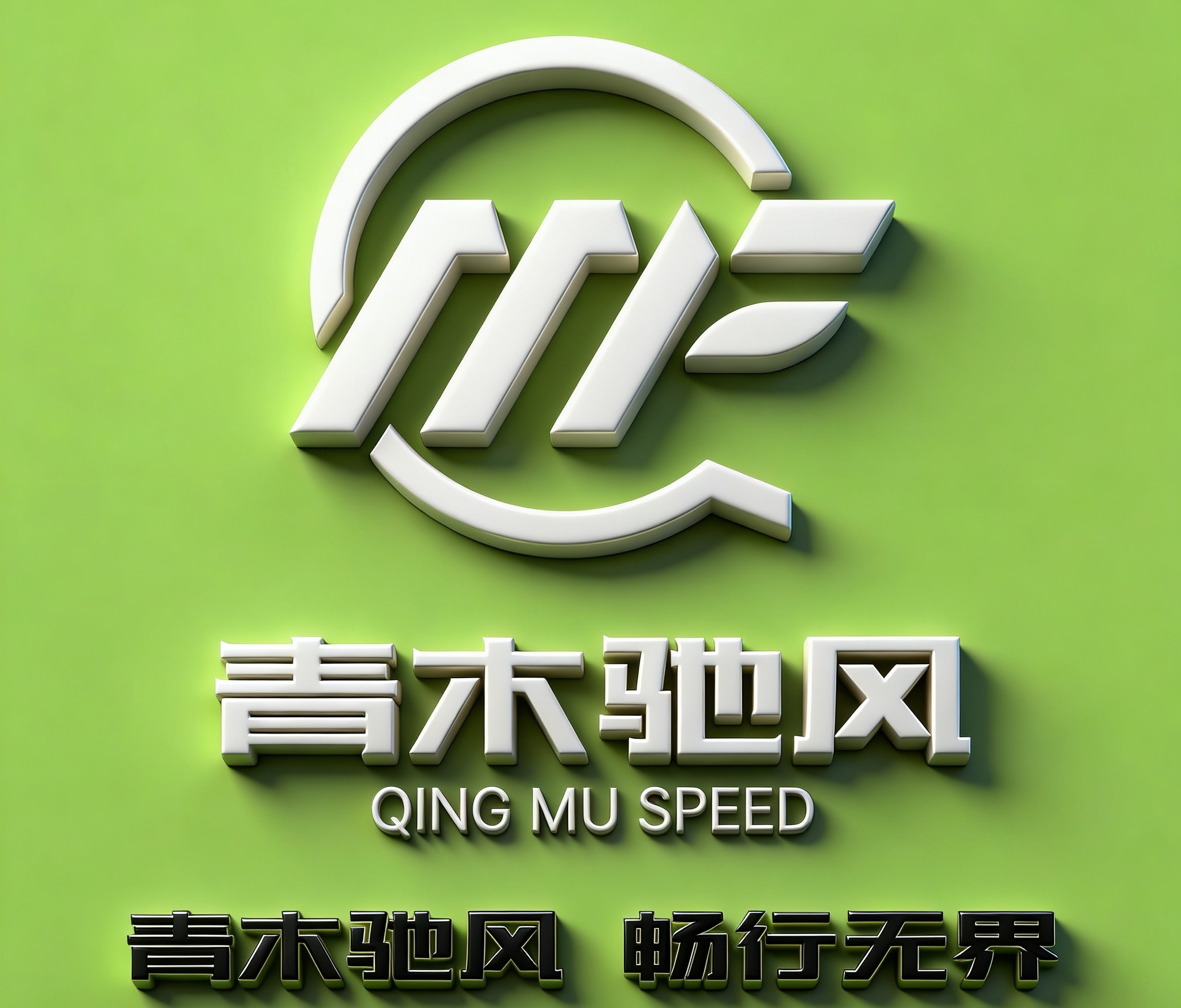 肖丽花找合伙人关于青木驰风新赛道项目