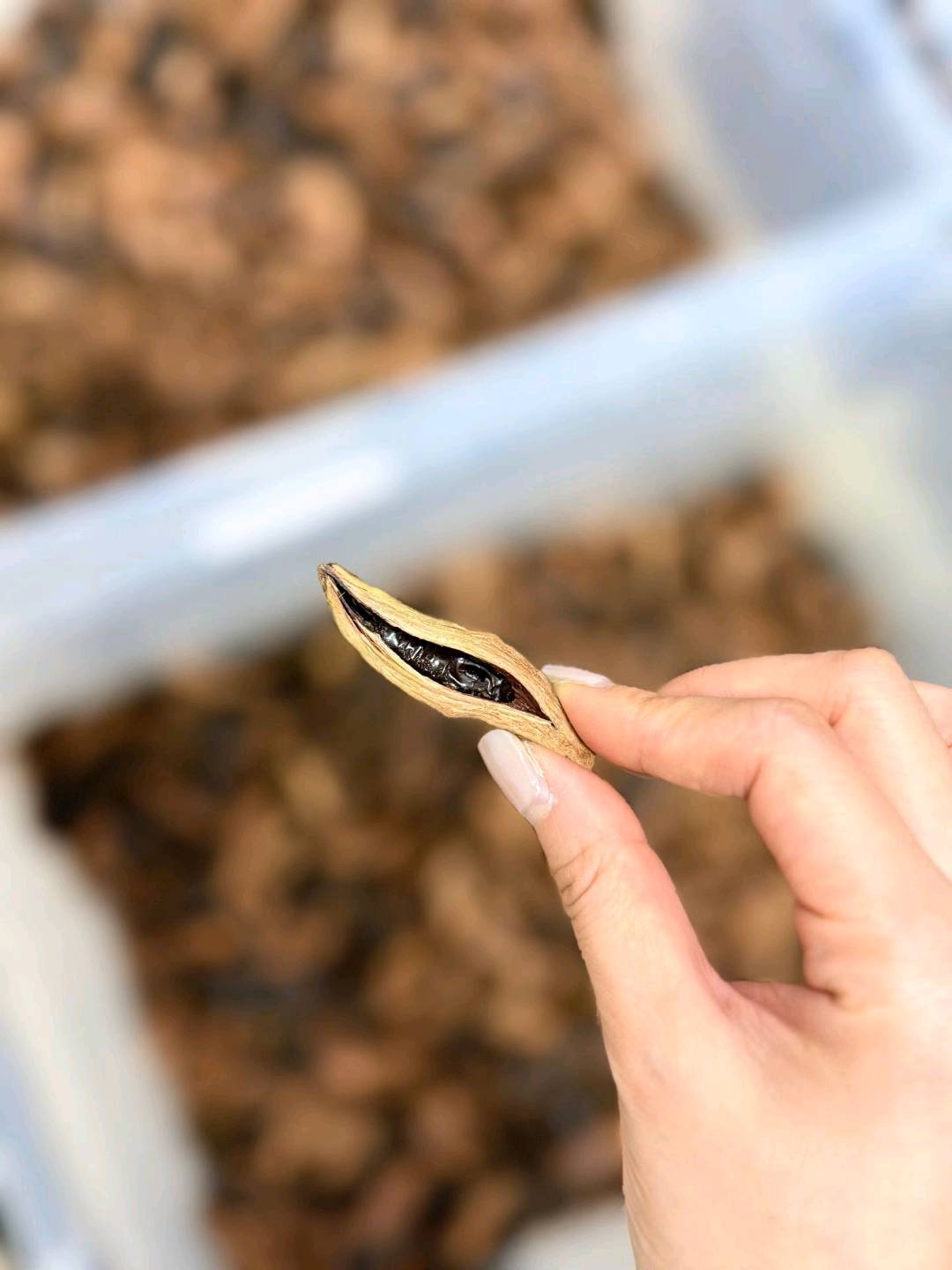 崔先生找合伙人全国承接 槟榔OEM代工项目合作