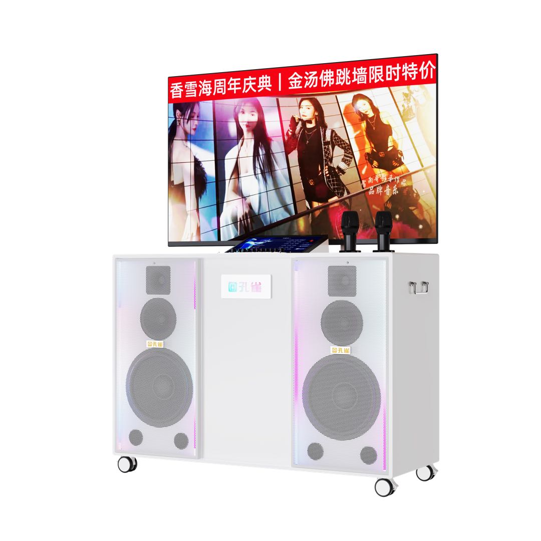 钱阳年找合伙人苏州区域招募共享音响合作伙伴，需要有餐饮资源