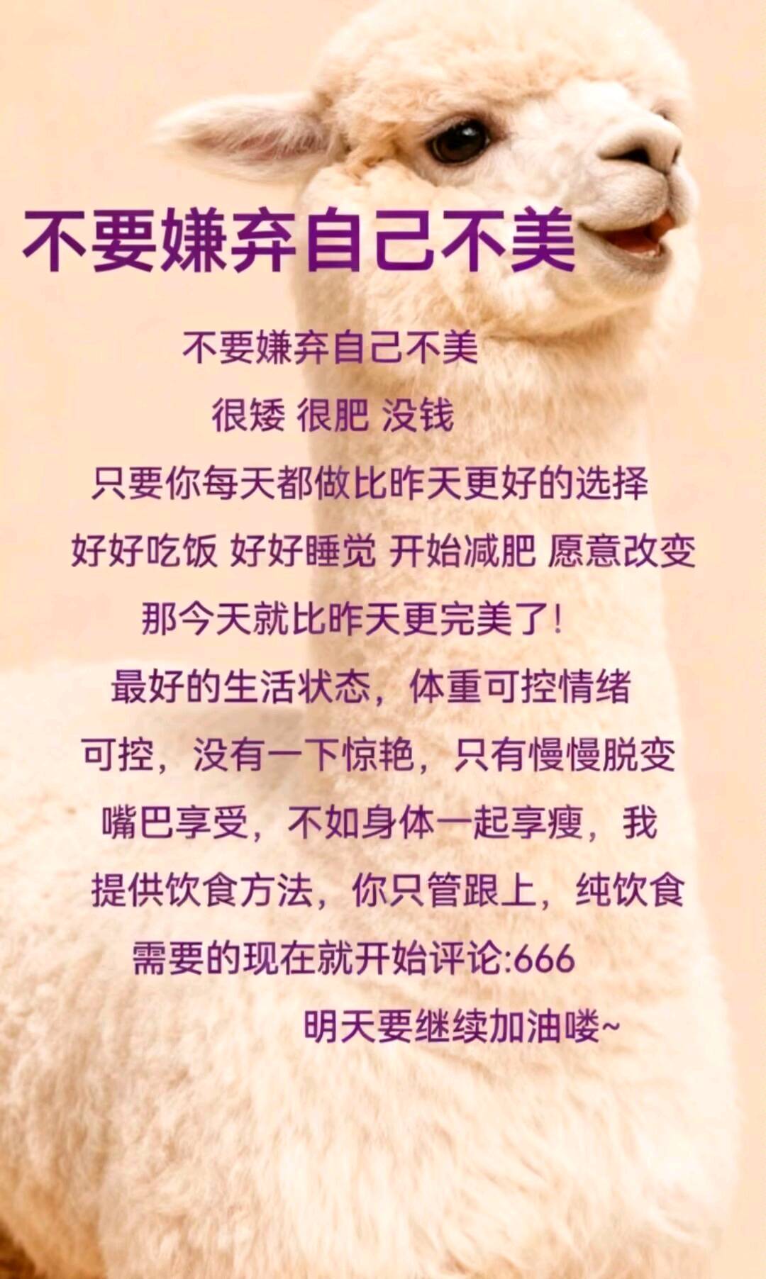 刘江其他供需兼职抖音代发