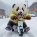 u客直谈李智烽
