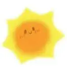 王先生