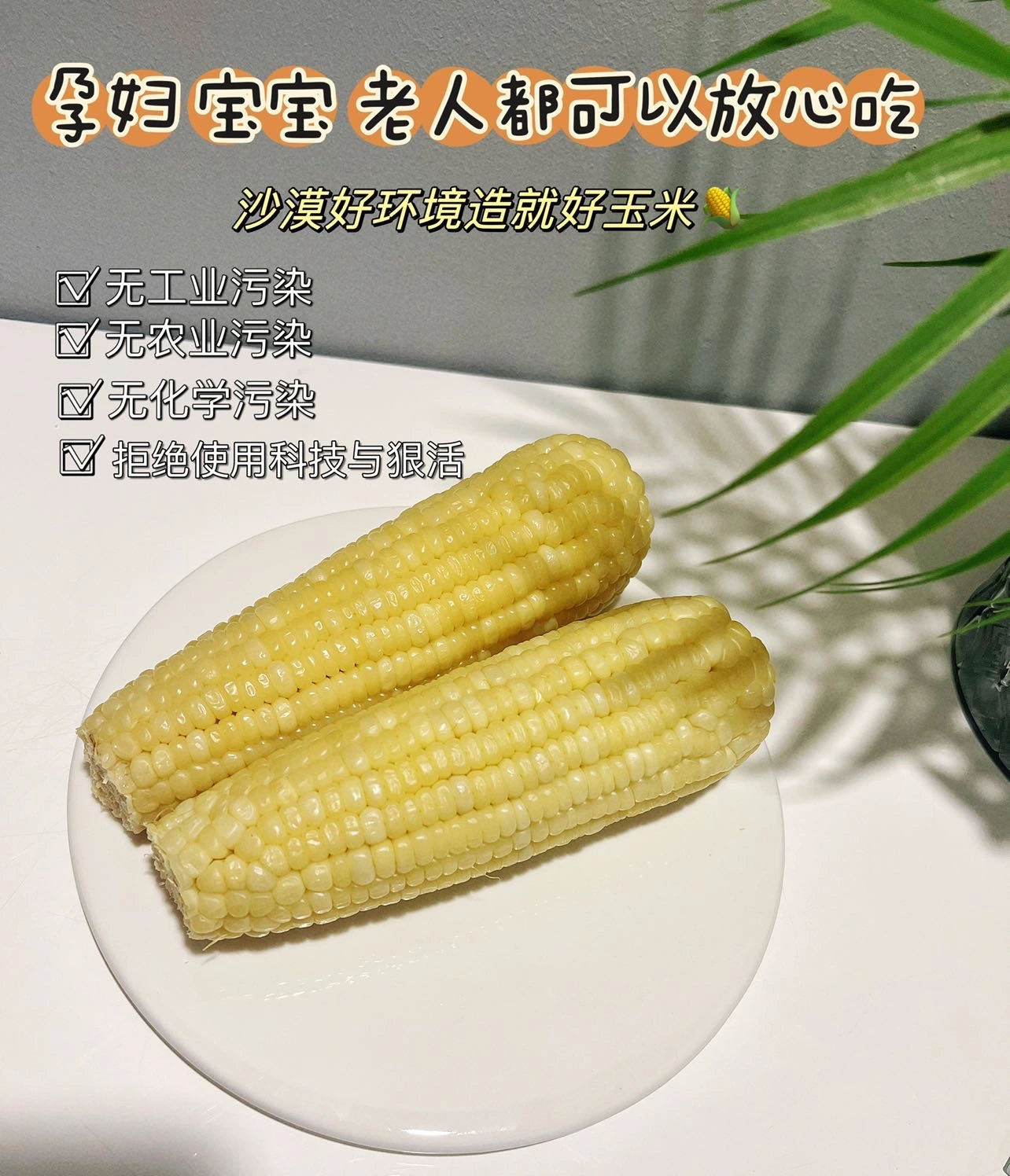 郭先生提供:高品质内蒙古沙漠玉米原皮原须,顺丰冷链发货。
