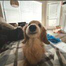 u客直谈实名认证滕仁康