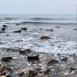 u客直谈实名认证马先生