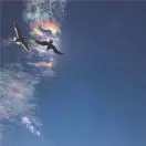 晏先生