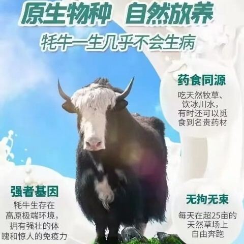 付先生找合伙人寻找全国奶粉合伙人