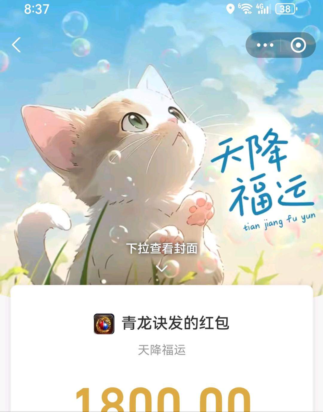 谢先生找合伙人