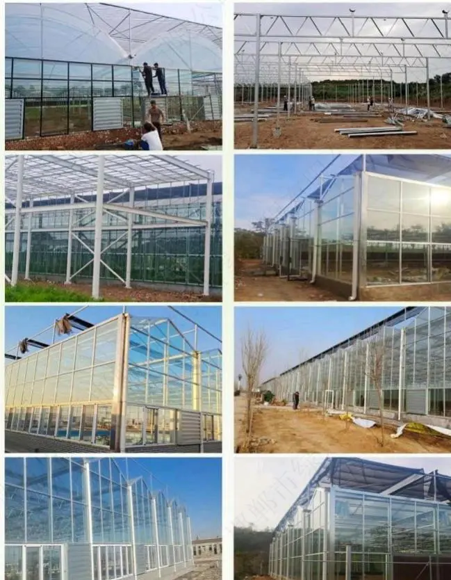 李先生找合伙人全智能温室大棚设备生产厂家,项目合作,方式不限