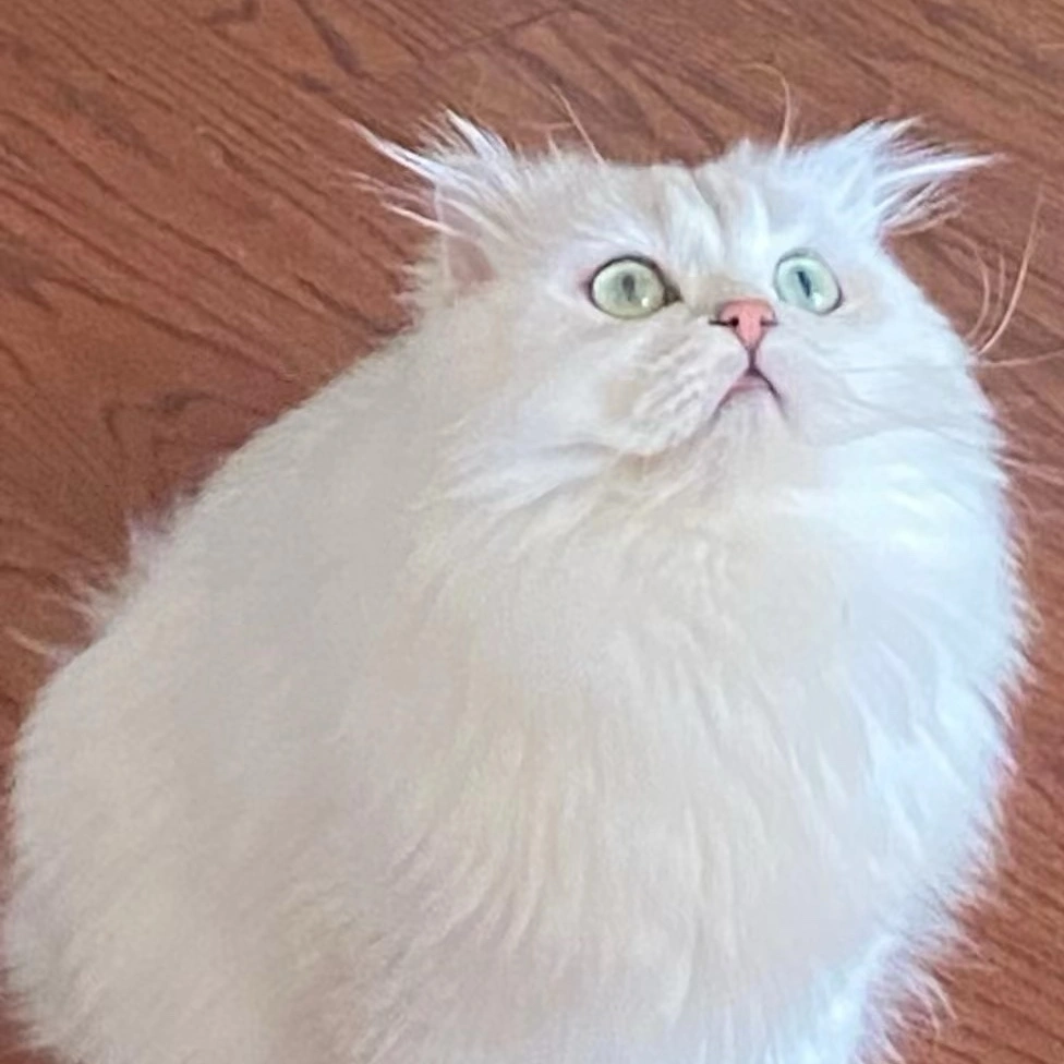 徐先生