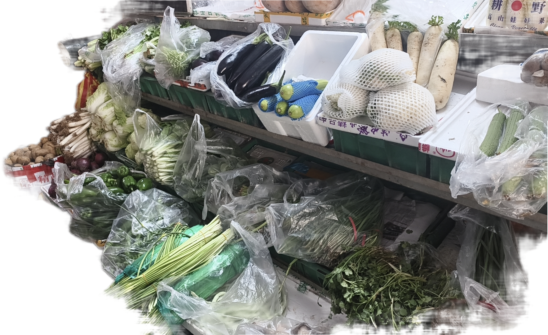 杨莹推广团队专业团队承接美团商家入驻地推，一对一服务，量大价优，长期合作