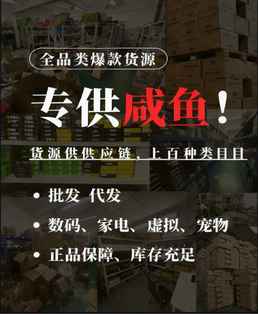 张兆宇找合伙人小黄鱼无货源玩法