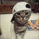 梁高元