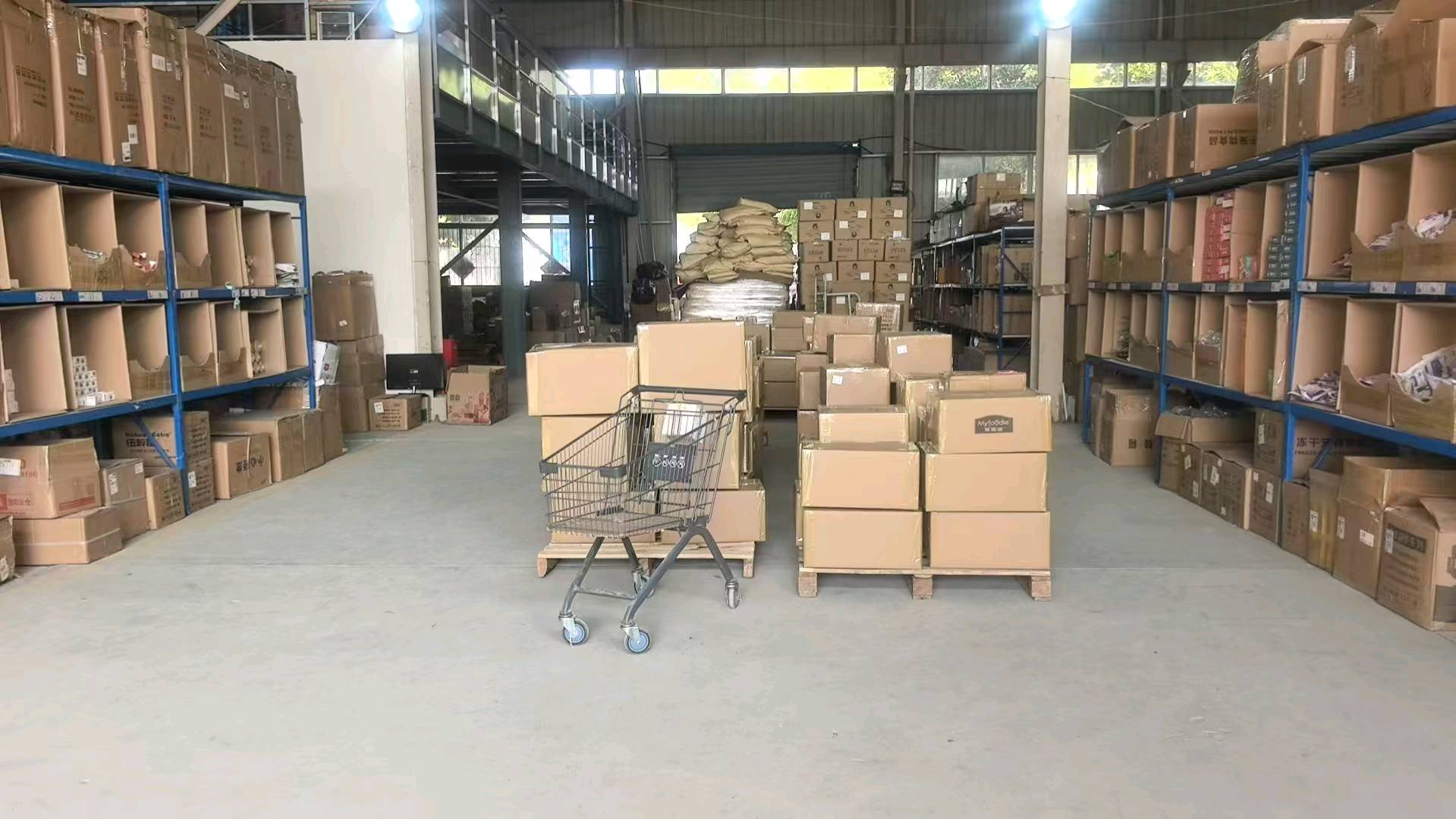 夏先生品牌货源宠物全品类集采供应链｜全国招代理/门店/团长 量大价优