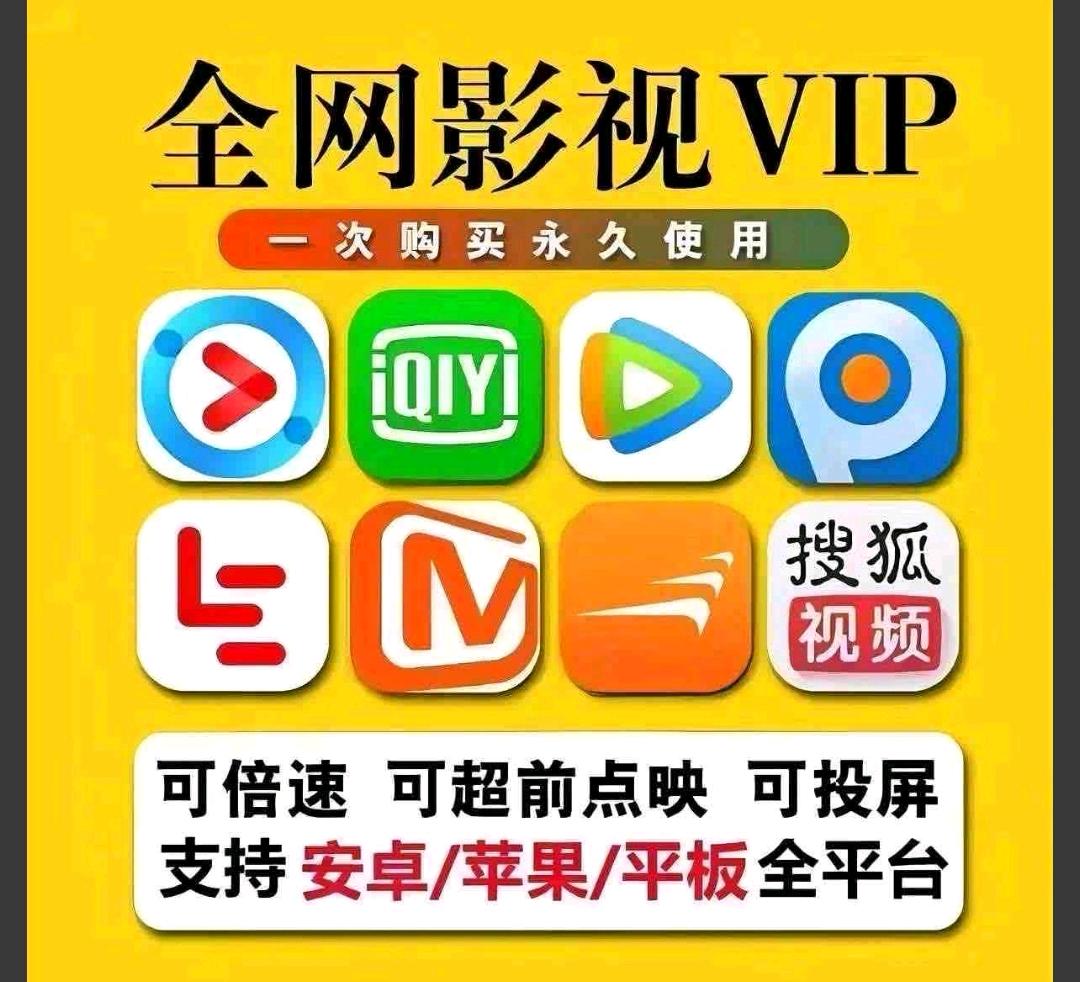 陈先生找合伙人全网影视会员年卡打折