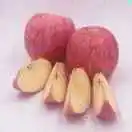 吕科