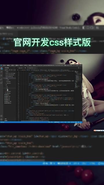 张先生乙方信息提供软件制作，app开发