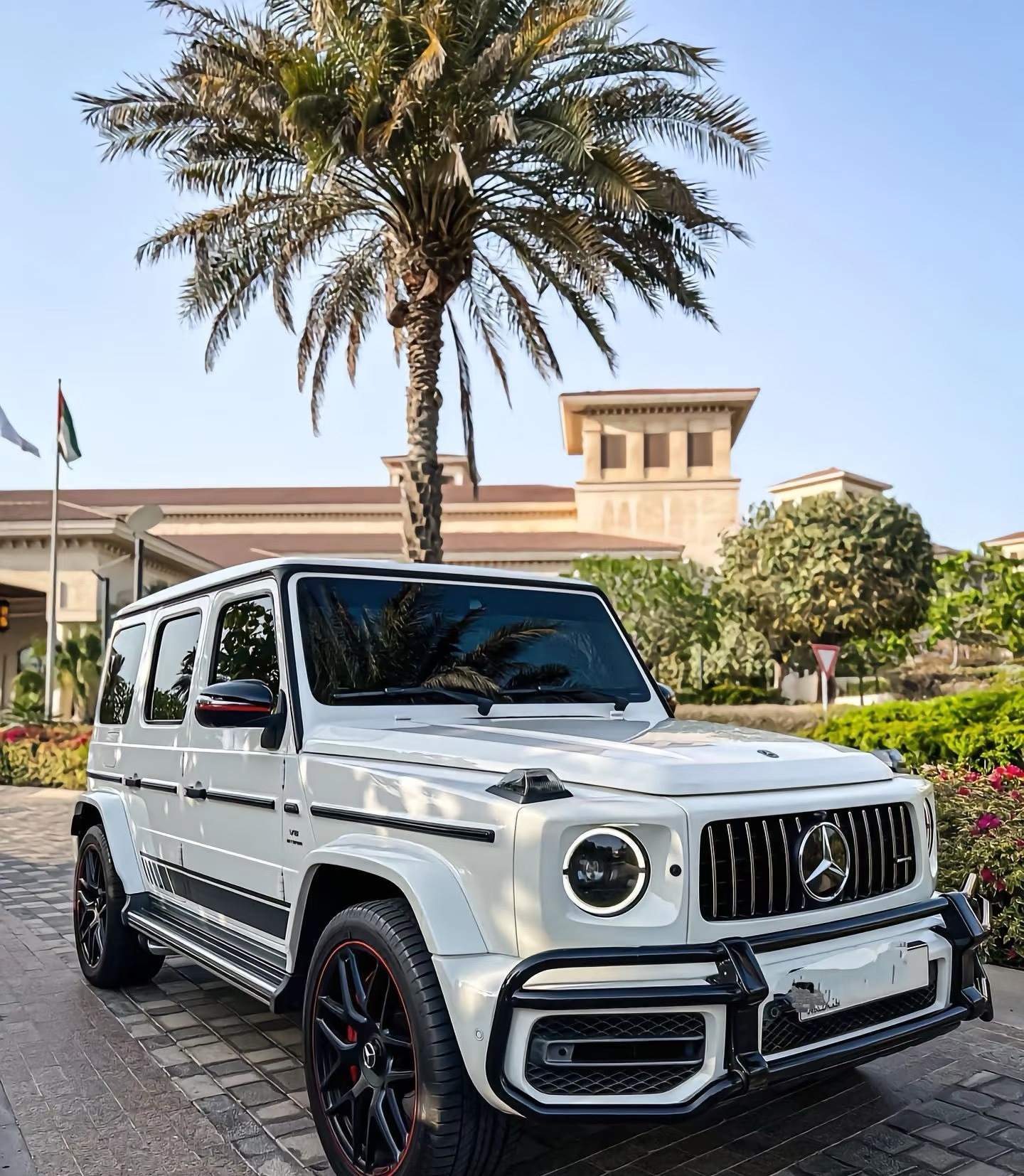 陈女士找合伙人