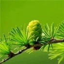 u客直谈实名认证戴先生