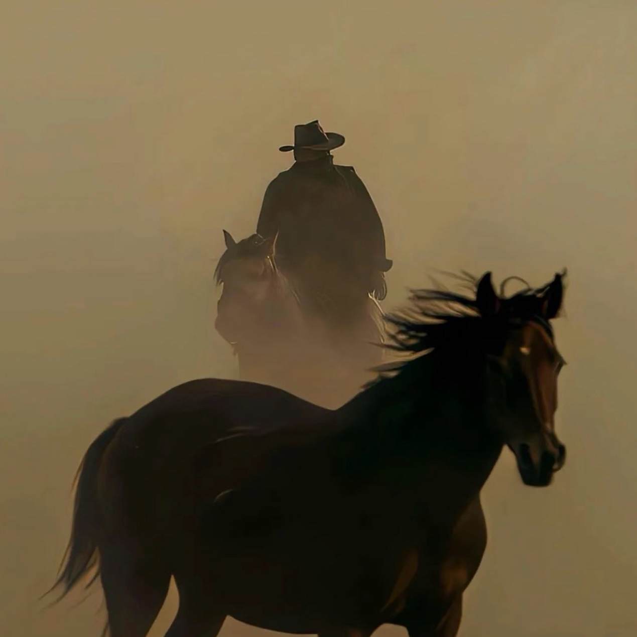 u客直谈实名认证李先生