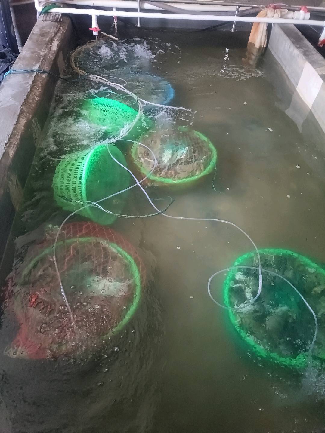王豫鲁销货渠道