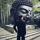 张先生