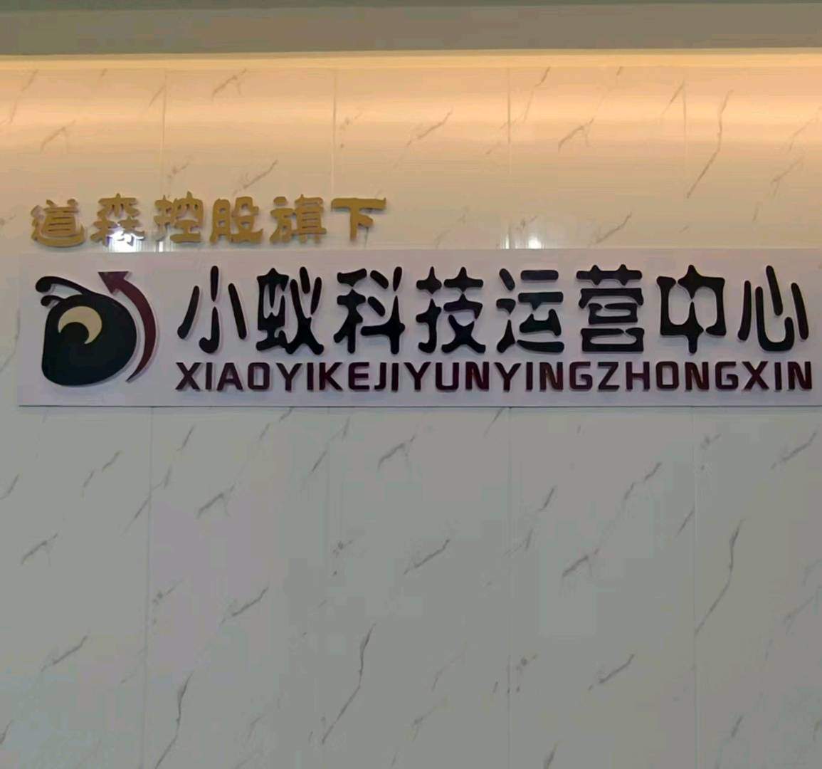 马浩翔找合伙人小蚁科技