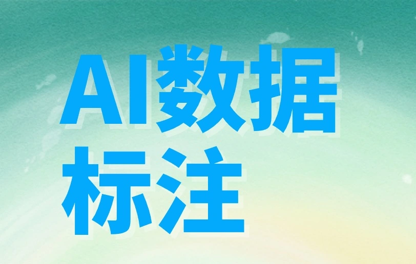 AI数据标注