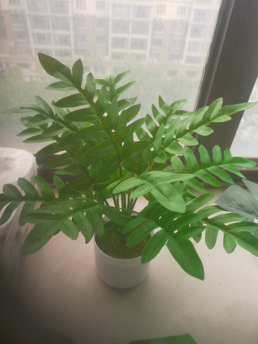 孙先生推广团队寻长期看广告，公众号*一手渠道