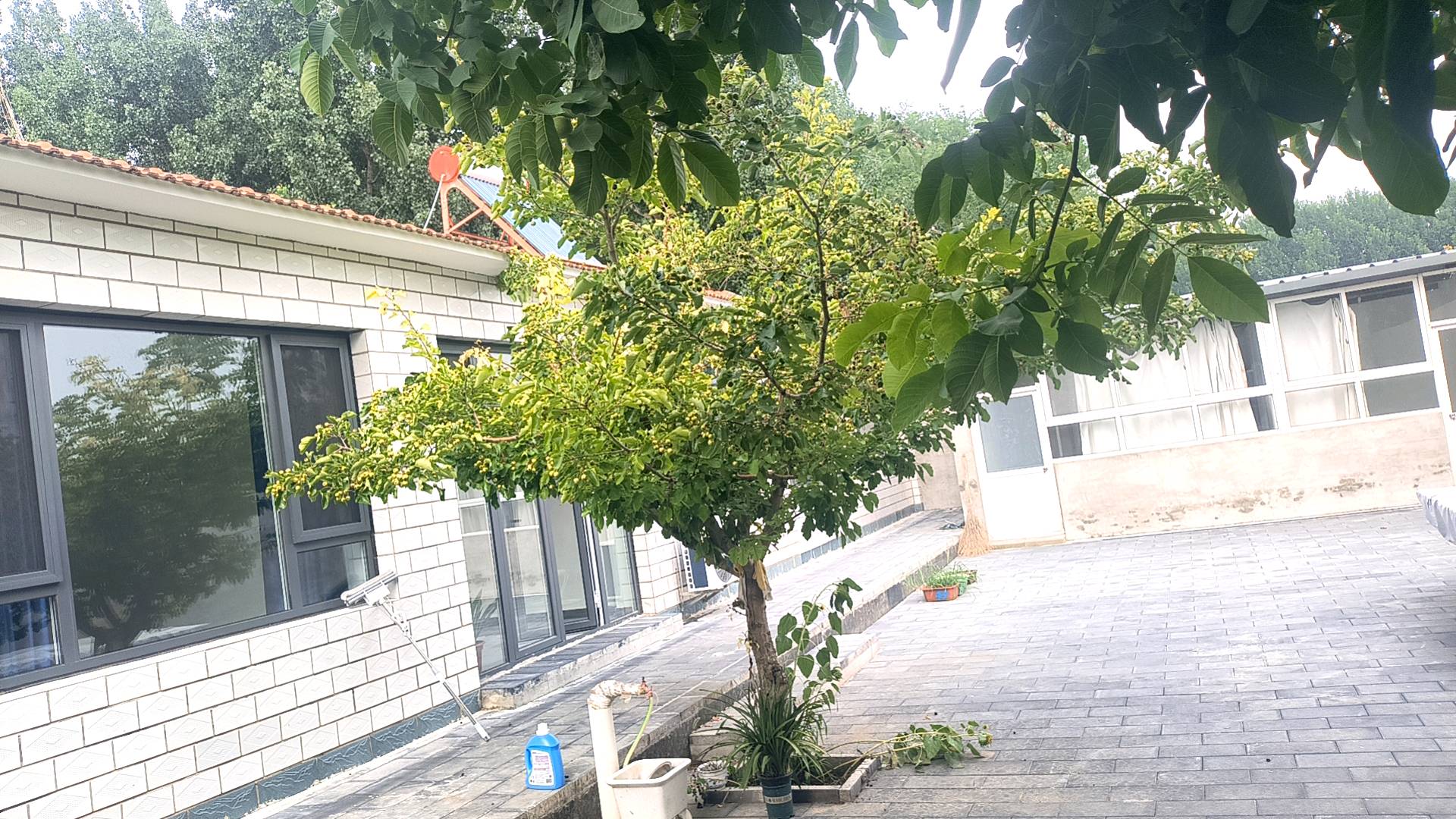 李银峰场地活动北京大兴梨花村有一闲置农家院