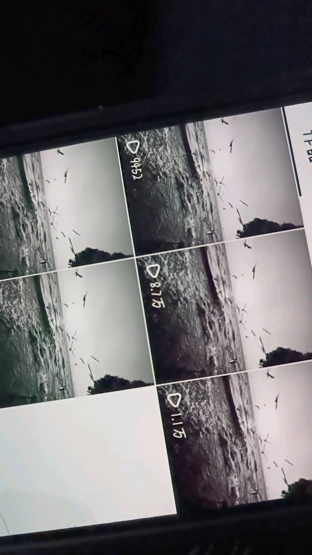 魏子凯其他供需寻dy代发，绿色素材日结，可长期稳定免费做